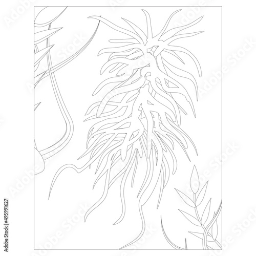 Printable shark coloring pages for kids
