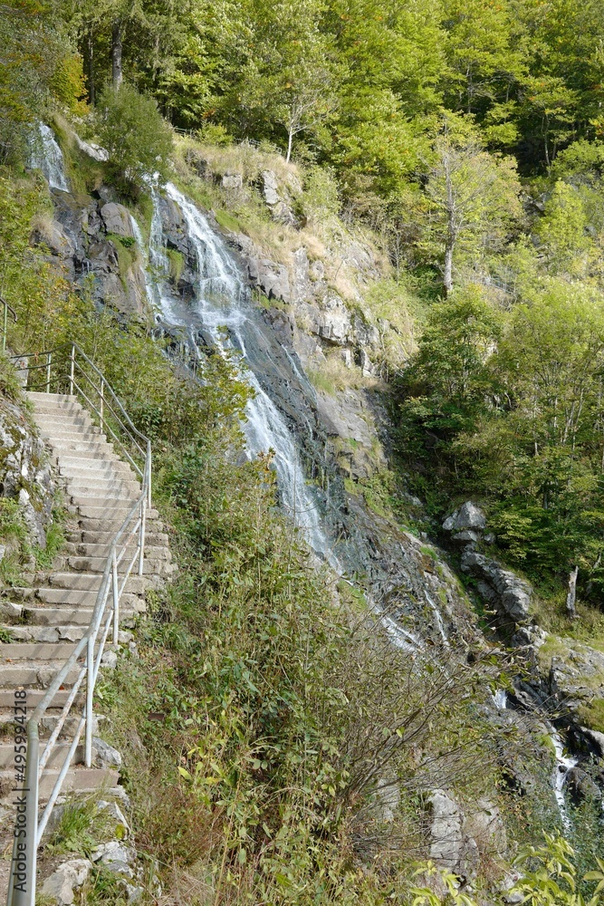 Fototapeta premium Schwarzwald Todtnauer Wasserfall mit Treppe Hochformat