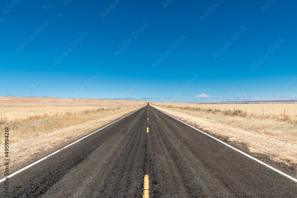 Highway vanishing into the distance in golden, grassy plains under bright blue sky depicting travel, journey, goal, future, perspective