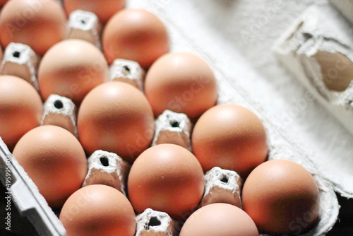 chicken eggs in the ovary box, protein food, yellow-orange chicken eggs