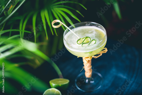 Gin gimlet cocktail garnished with cucumber served in chilled martini glass by proffesional bartender photo