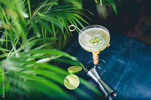 Gin gimlet cocktail garnished with cucumber served in chilled martini glass by proffesional bartender