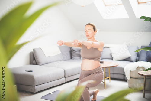 Young beautiful pregnant woman training pilates at home in her living room. Healthy lifestyle and active pregnancy and motherhood concept.