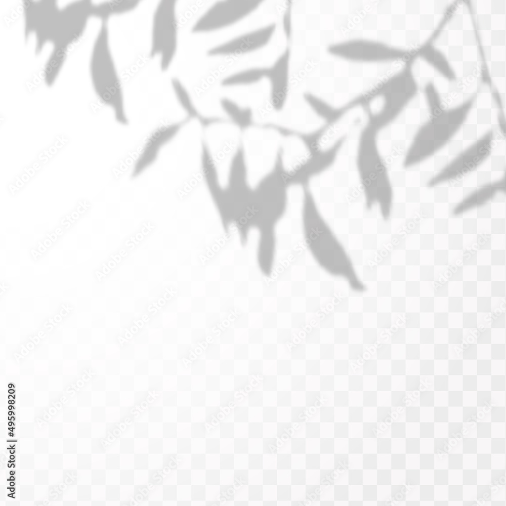 Realistic shadow of tropical leaves or branches on transparent checkered background. The effect of overlaying shadows. Natural light layout. Realistic shadow of tropical leaves or branches on transparent checkered background. The effect of overlaying shadows. Natural light layout.