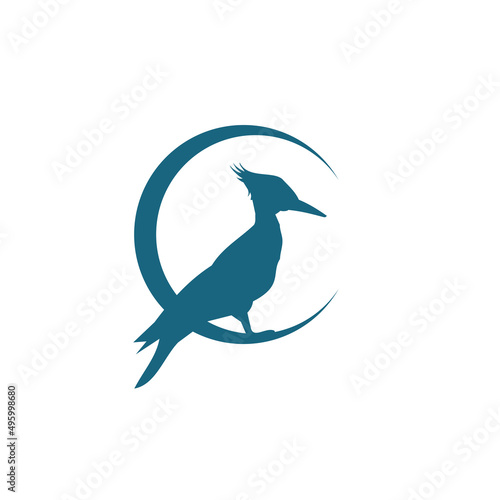 Woodpecker logo design white background