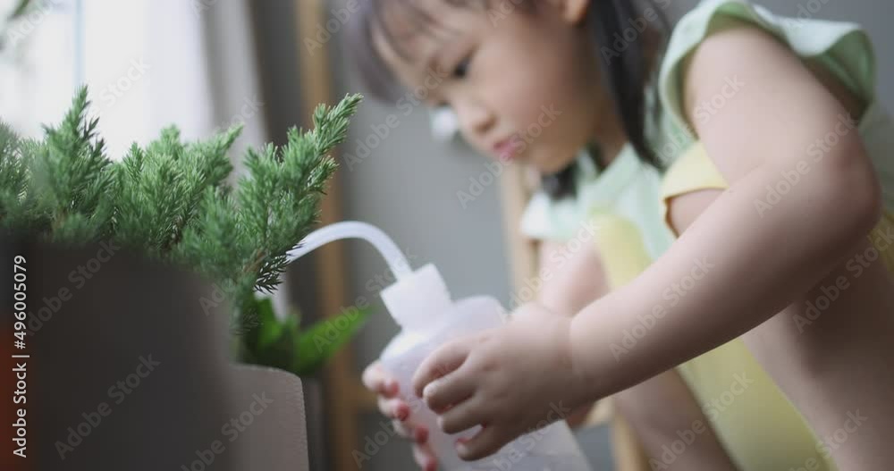 4K Video little asian cute girl watering the little plant in home. Concept for lifestyle kid activity. 4K Video little asian cute girl watering the little plant in home. Concept for lifestyle kid activity.