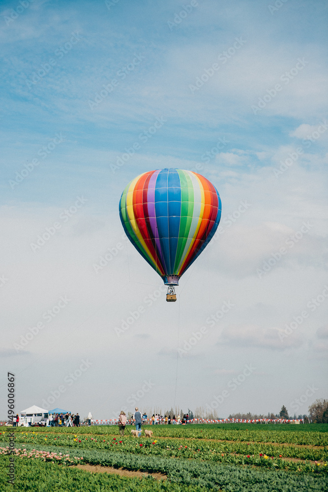 Naklejka premium Hot Air Balloon