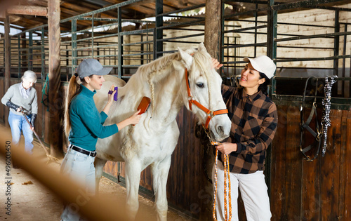 European and Asian women horse breeders grooming white horse in stable. © JackF