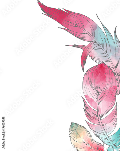 619_feathers of birds, graphics bird feathers, watercolor drawing on a white background, colorful fluff on a white background