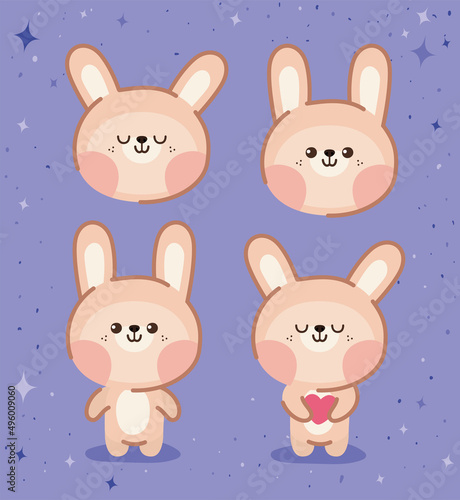 four bunnies group