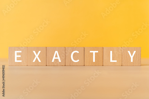 Fotografija 「EXACTLY」と書かれた積み木