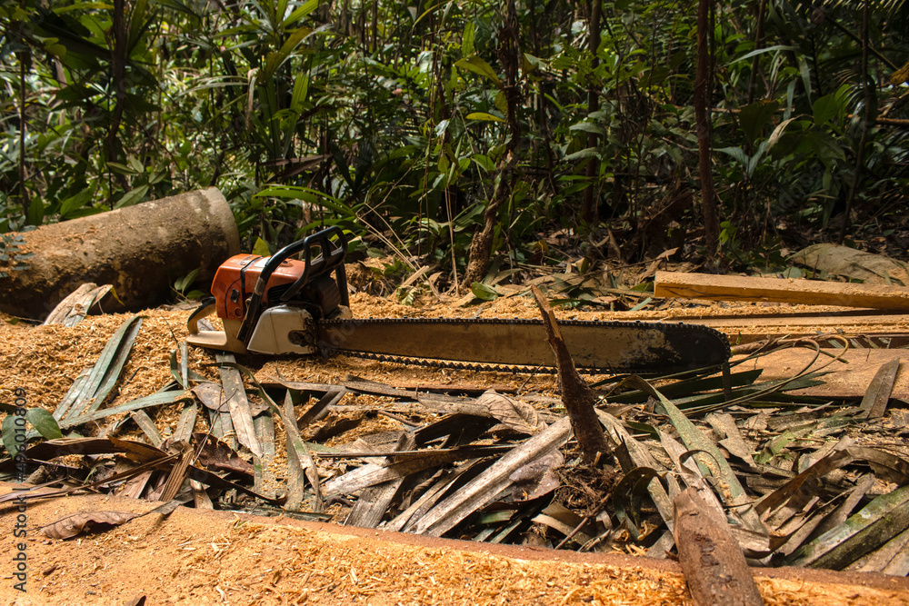 Fototapeta premium Deforestation in the Amazon, a latent problem that directly affects forests and in turn ecosystems.