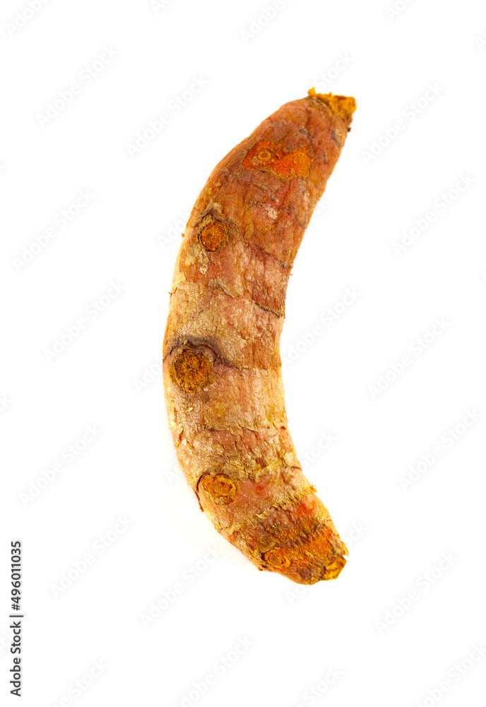 Single Turmeric Root on a White Background Single Turmeric Root on a White Background