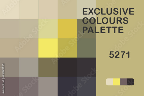 Exclusive Colours Palettte 5271 photo