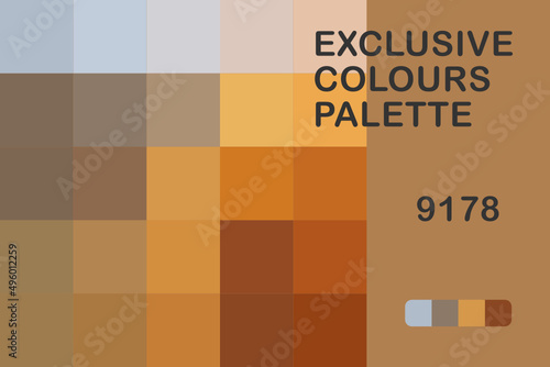 Exclusive Colours Palettte 9178 photo