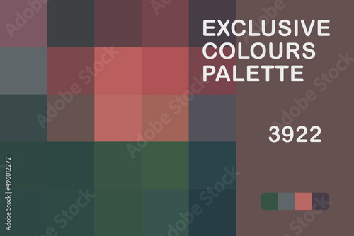 Exclusive Colours Palette 3922 photo
