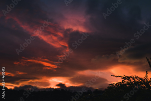 pink and purple toned sunset over the mountains and eucalyptus gum trees silhouettes, shot in Tasmania