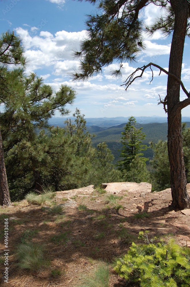 Scenic view from the Mogollon Rim, Apache-Sitgreaves National Forests, Arizona.