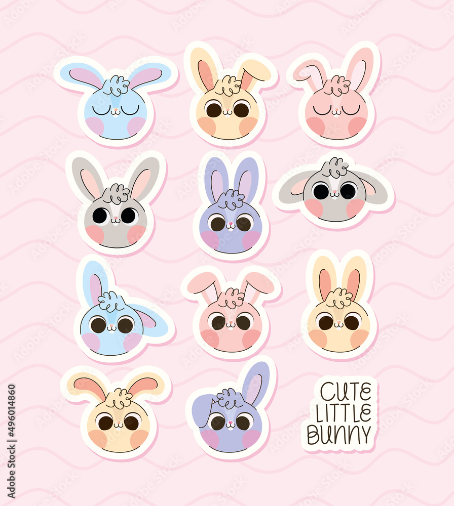eleven bunnies faces