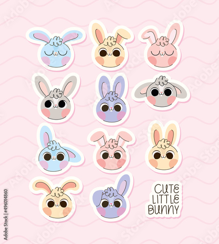 eleven bunnies faces
