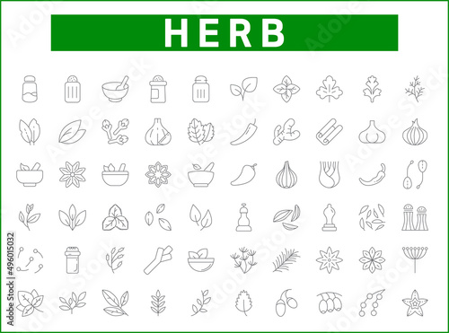 Set of herbs and spices icons line style. It contains such Icons as basil, parsley, rosemary, bay leaf, chili, onion, dill, cloves, garlic and other elements.
