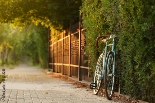 Stylish bicycle near green ...