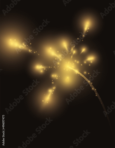 Glowing fireworks illuminating the night, Vector Illustration
