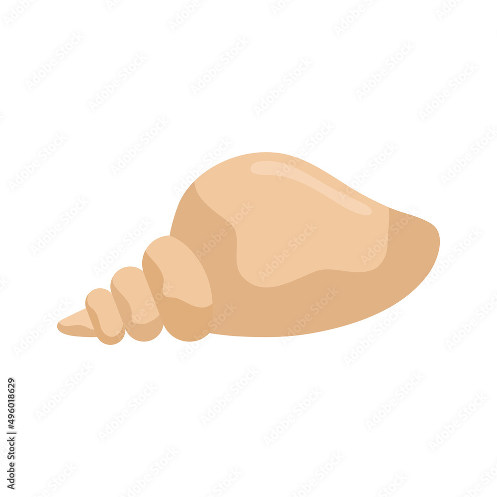 beach conch design beach conch design
