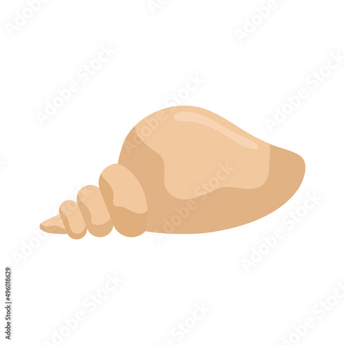 beach conch design