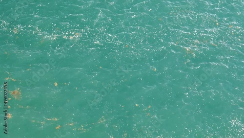 Flotsam and jetsam floating by on ocean water surface