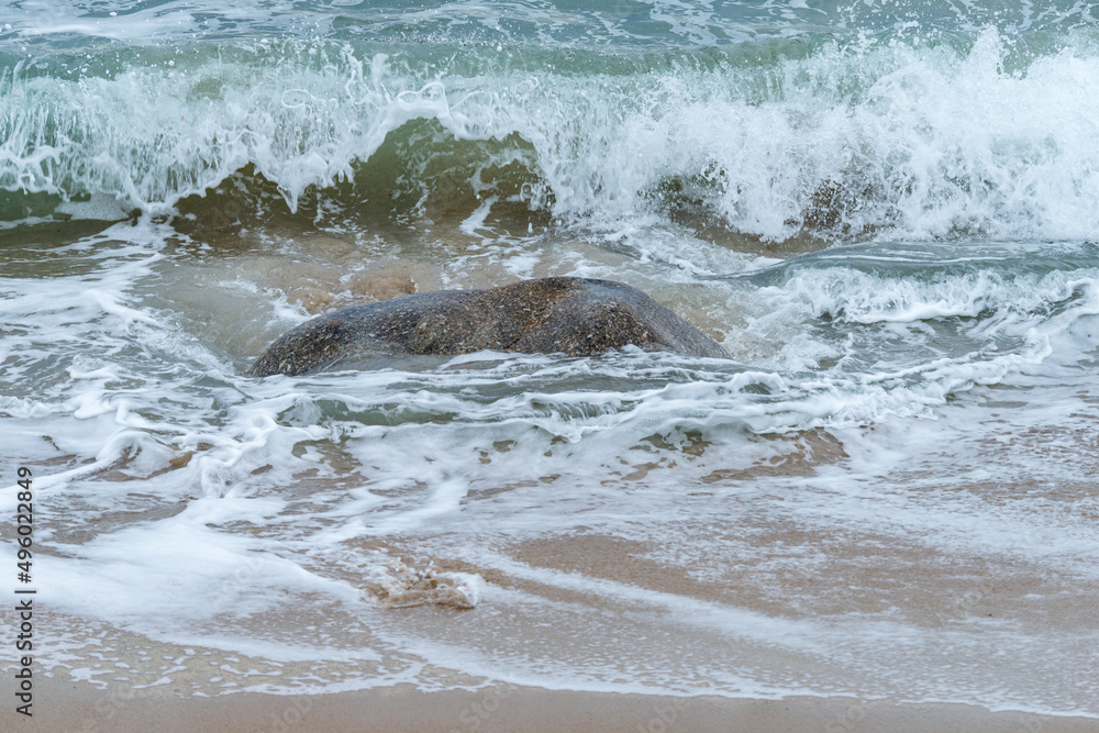 Obraz premium Ocean Waves Washing Ashore on Beach Rocks