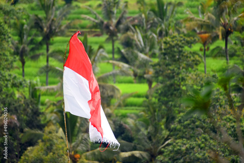 Indonesian flag, red and white, with bokeh ricefeld background