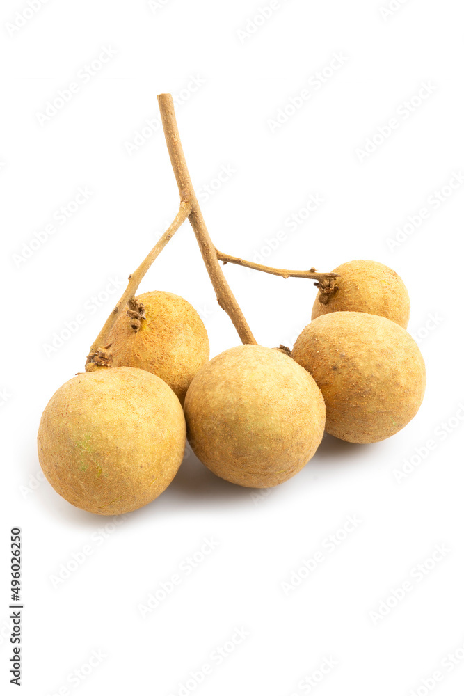 Ripe bunch of fresh Longan (Dimocarpus longan), Exotic sweet Tropical Fruits of Thailand, isolated on white background. Clipping path Ripe bunch of fresh Longan (Dimocarpus longan), Exotic sweet Tropical Fruits of Thailand, isolated on white background. Clipping path