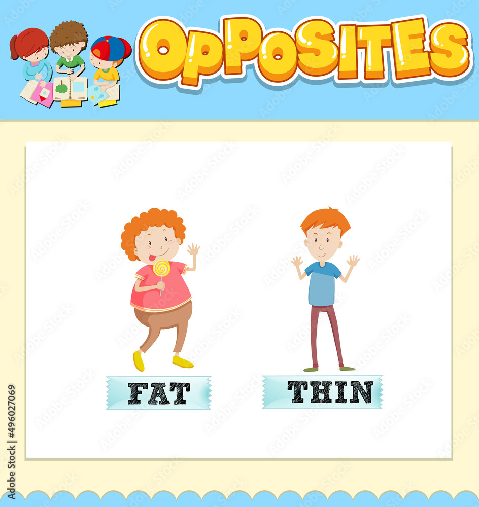 Opposite words for fat and thin