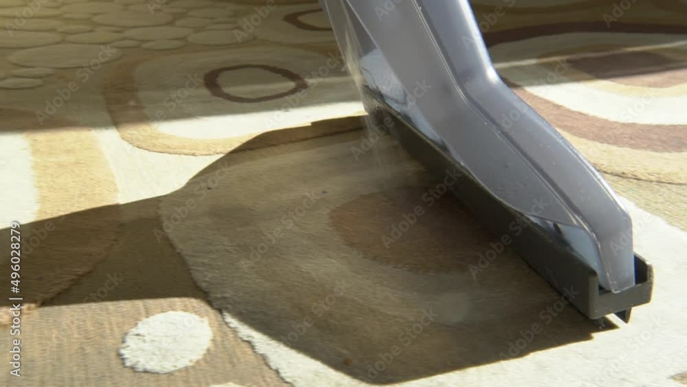 Cleaning and wet cleaning of premises.Carpet washing with a cleaning