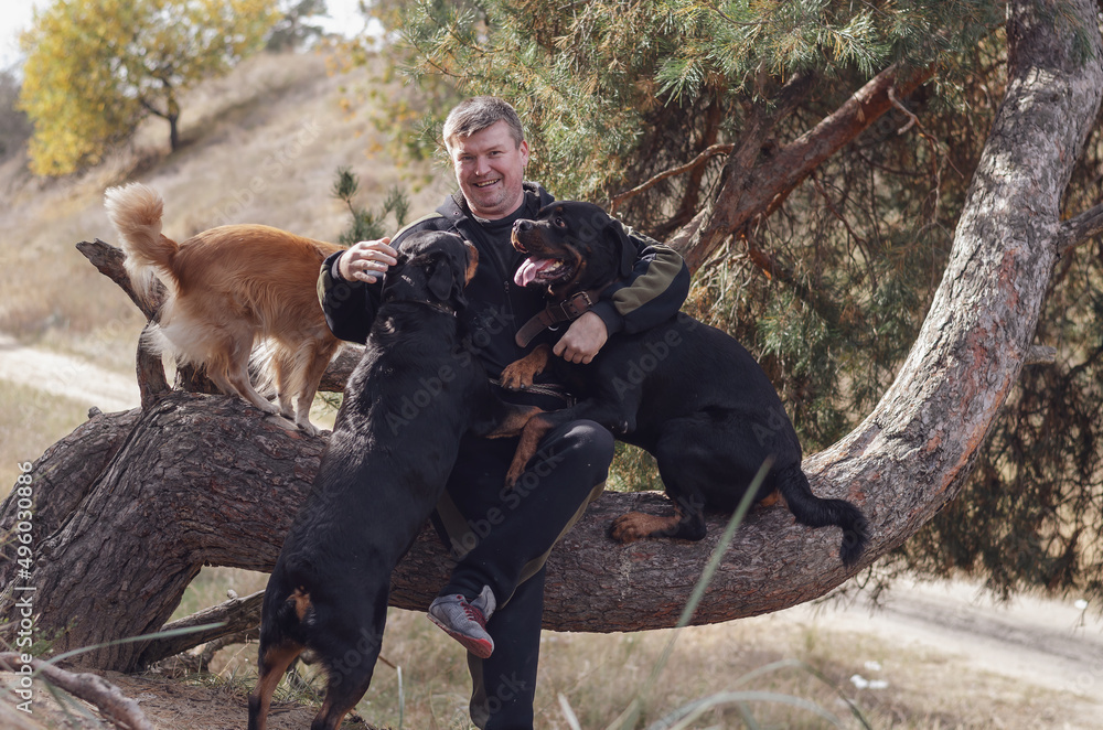 A man and his pets. An adult male sitting on the trunk of a pine tree. A man and his pets. An adult male sitting on the trunk of a pine tree.
