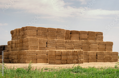 Stack of rectangular bales of dry straw under the October sky. Farmer's haystack.