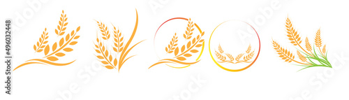 et of Vector logo  label or package with yellow rice  wheat  rye grains. Concept for asian agriculture  organic cereal products  bread and bakery factory.Vector icon EPS10.
