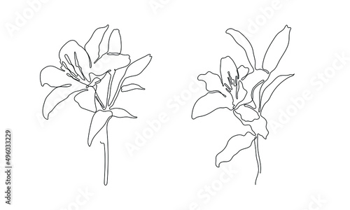 flowers illustration in one line art style. continuous drawing in vector best used for icon, wall art prints, posters, magazine, postcard, etc.