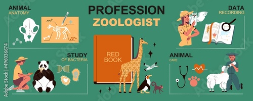 Profession Zoologist Infographics Layout