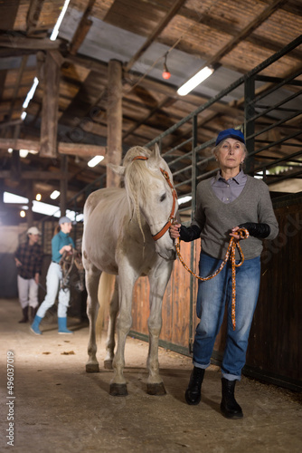 Caucasian senior woman horse breeder leading white horse through horse barn.