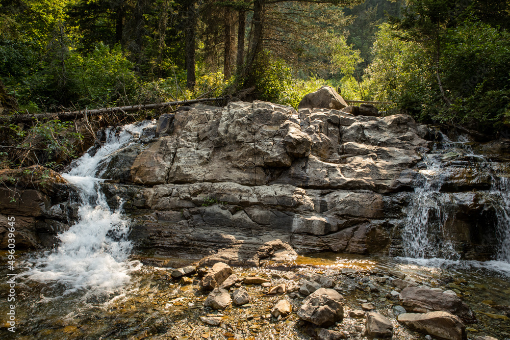 Obraz premium Mountain stream water falls over mossy rocks