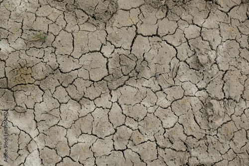 A dry, cracked surface of the earth