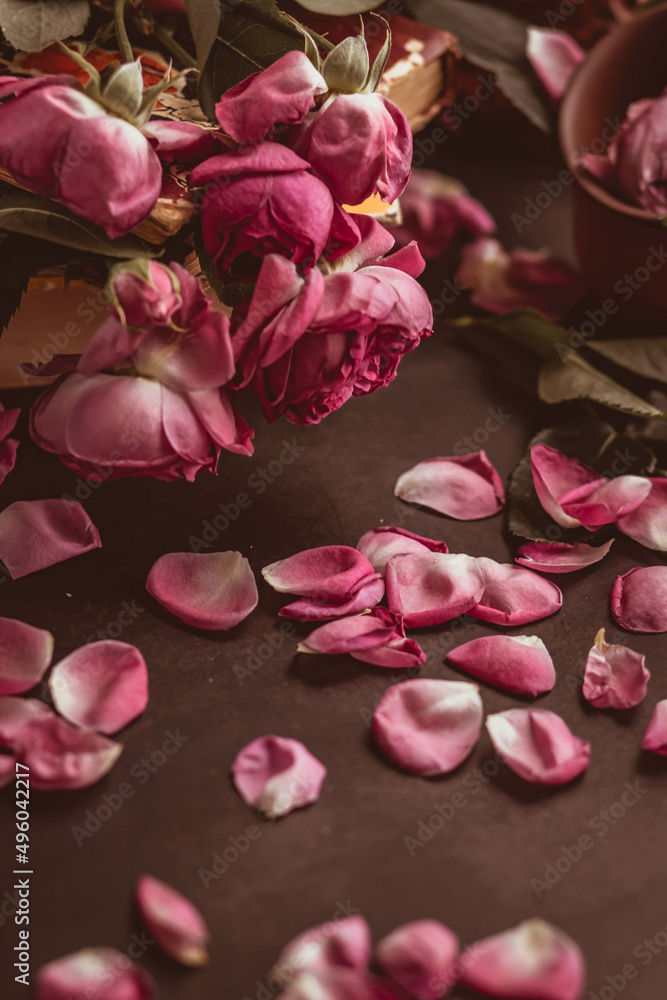 fading roses of pink color and rose petals on a dark background fading roses of pink color and rose petals on a dark background