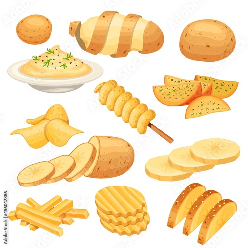 Potato dish, meal, garnish, street food and snack. French fries, rustic and mash potatoes, chips. Cartoon sliced potato product vector set