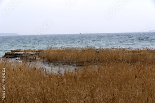 Beautiful scenic landscape with reed at border of Lake Geneva on a windy and cloudy spring day. Photo taken March 18th, 2022, Geneva, Switzerland. © Michael Derrer Fuchs