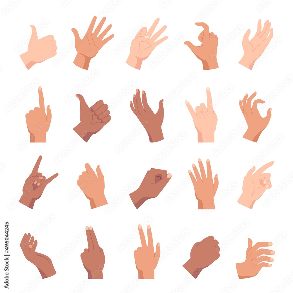 Cartoon hand poses, holding, pointing and like gesture. Diverse people hands, fists and palm positions and signs. Woman arm count vector set