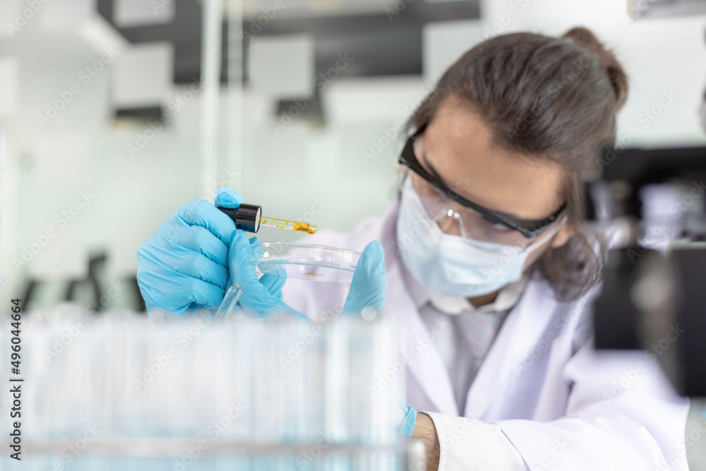 Scientists experiment with synthetic substances from nature to modify the genetics or DNA of plants to be resistant to disease, Lab experiments, Researchers scientist working analysis with test tube. Scientists experiment with synthetic substances from nature to modify the genetics or DNA of plants to be resistant to disease, Lab experiments, Researchers scientist working analysis with test tube.