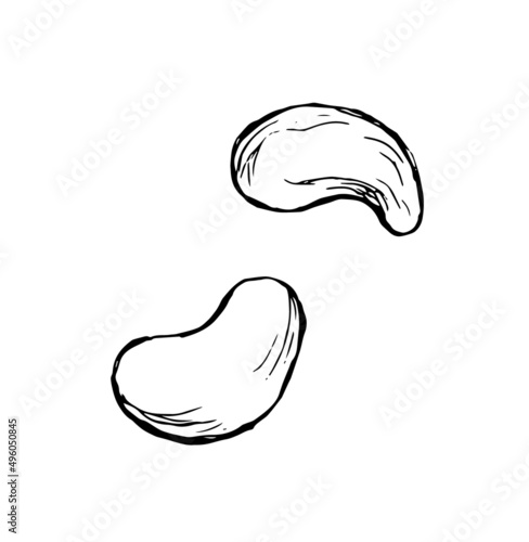 カシューナッツ＿線画イラスト