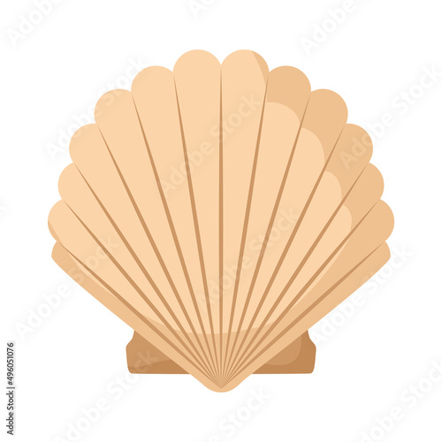 beige clam design
